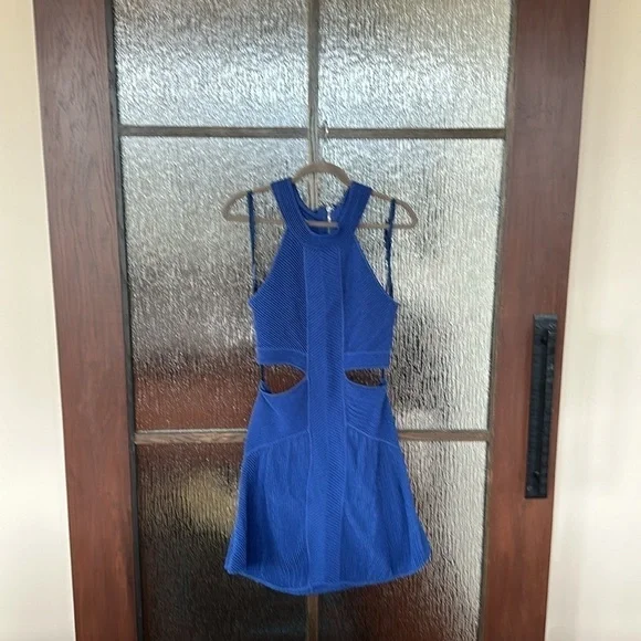 Ronny Kobo
Cobalt Mirielle Dress size Large - Picture 8 of 13